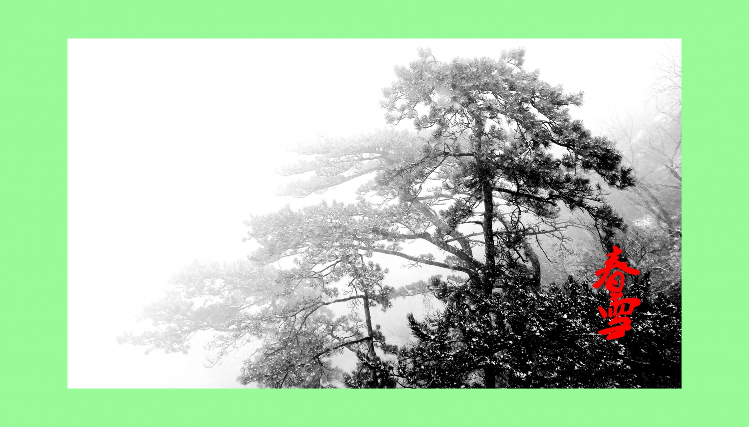 春雪