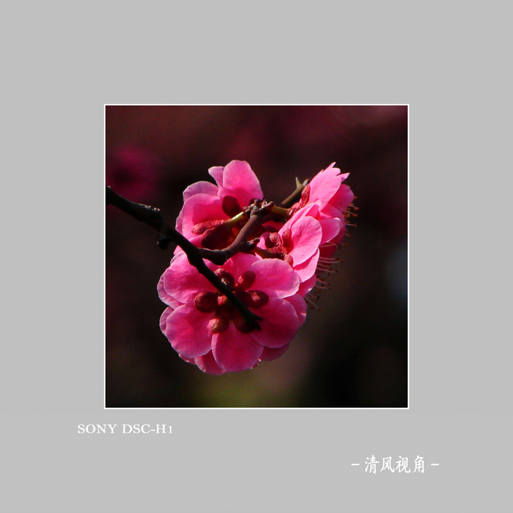 无题