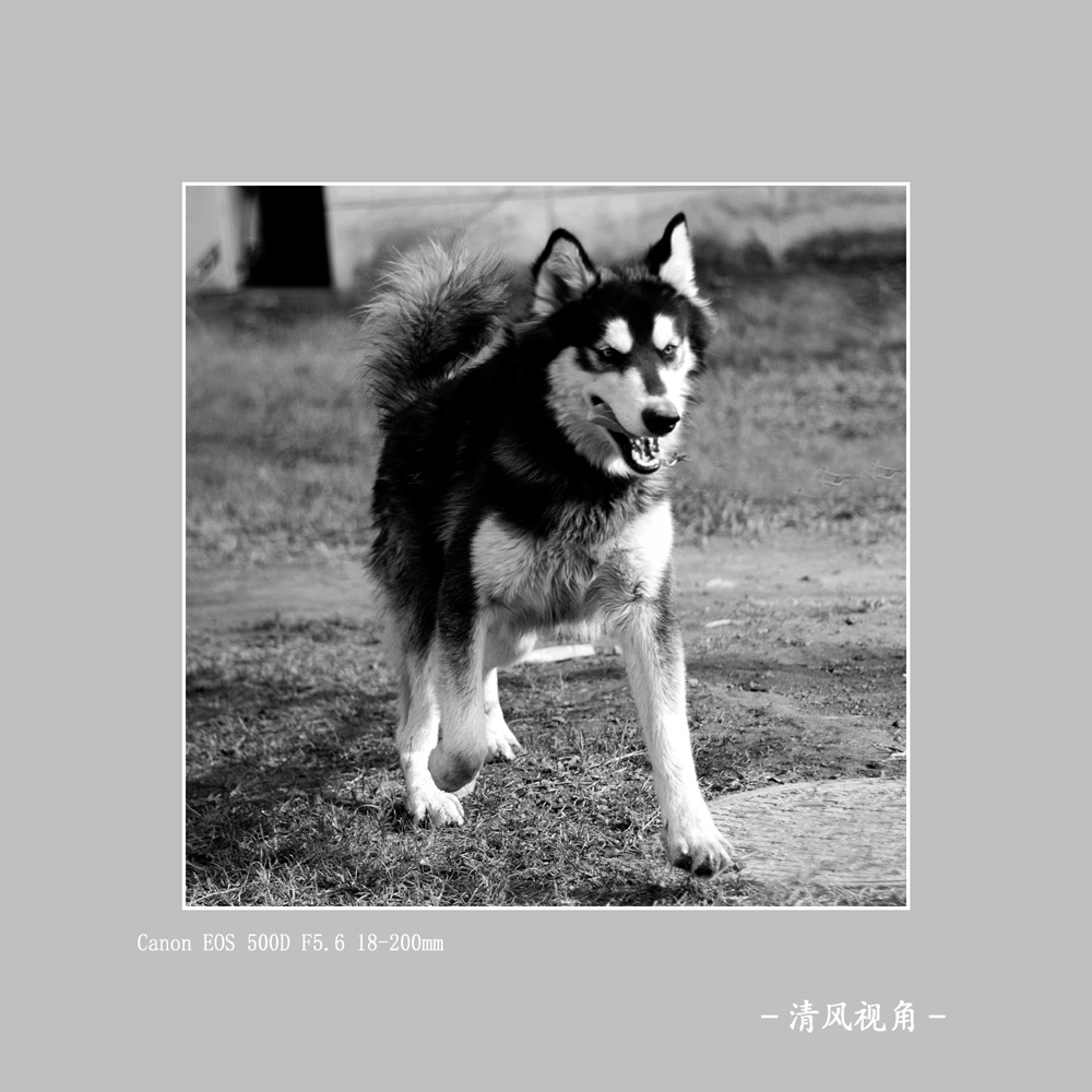 无题