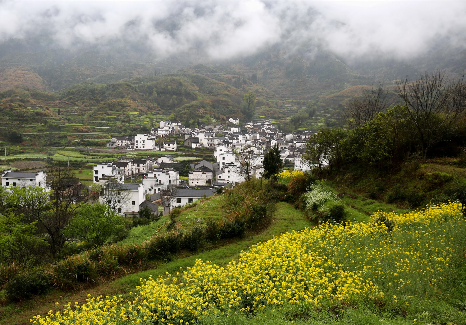 黄山
