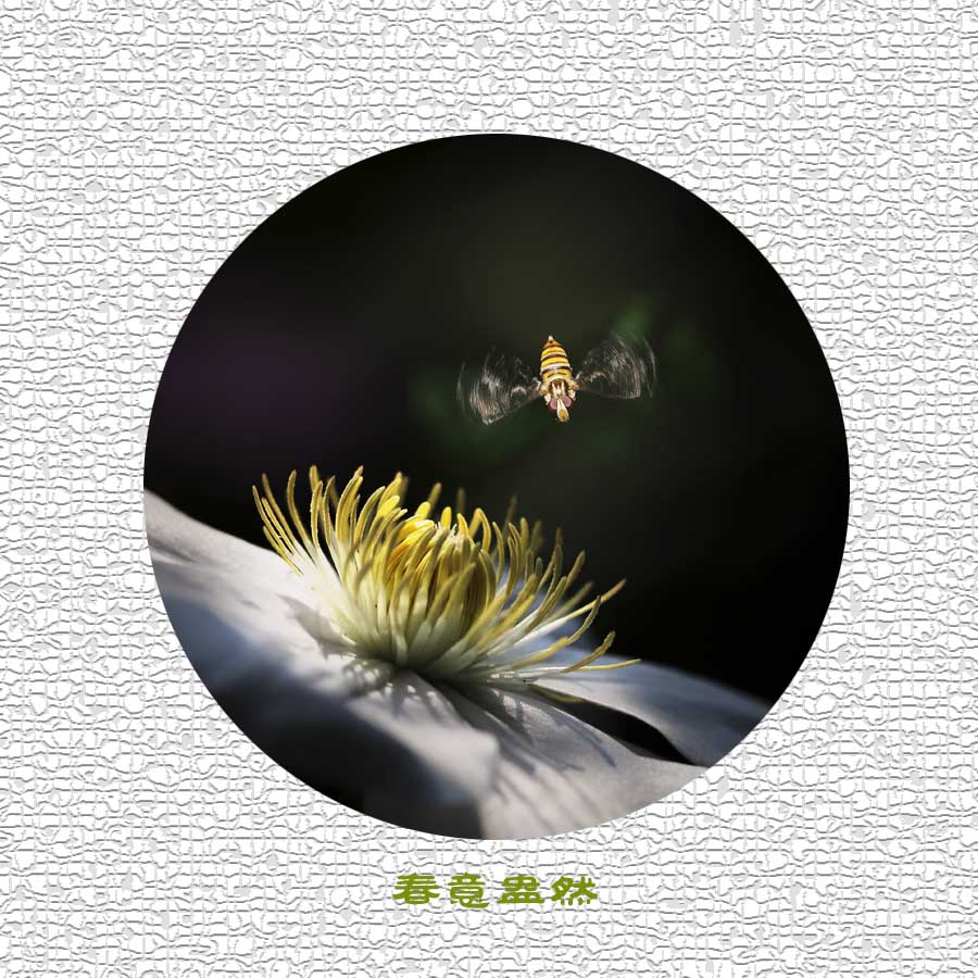 春意盎然