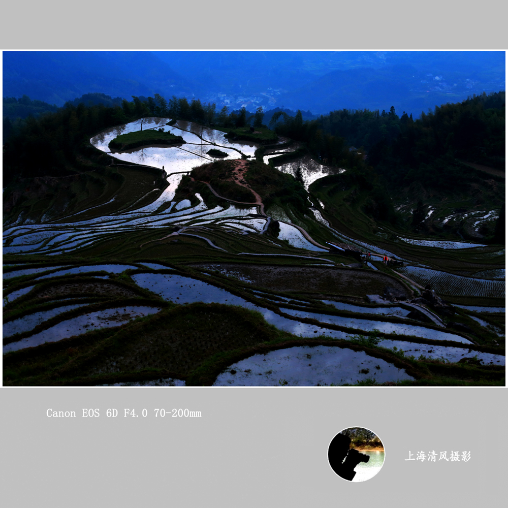 晨色_7965