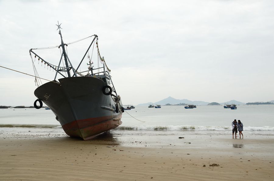 沙滩拾贝