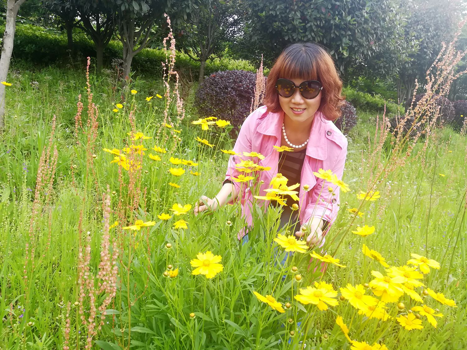 花海遐想