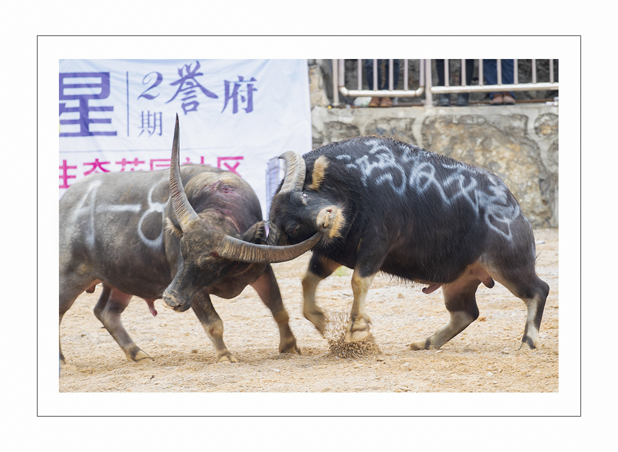 斗士风采