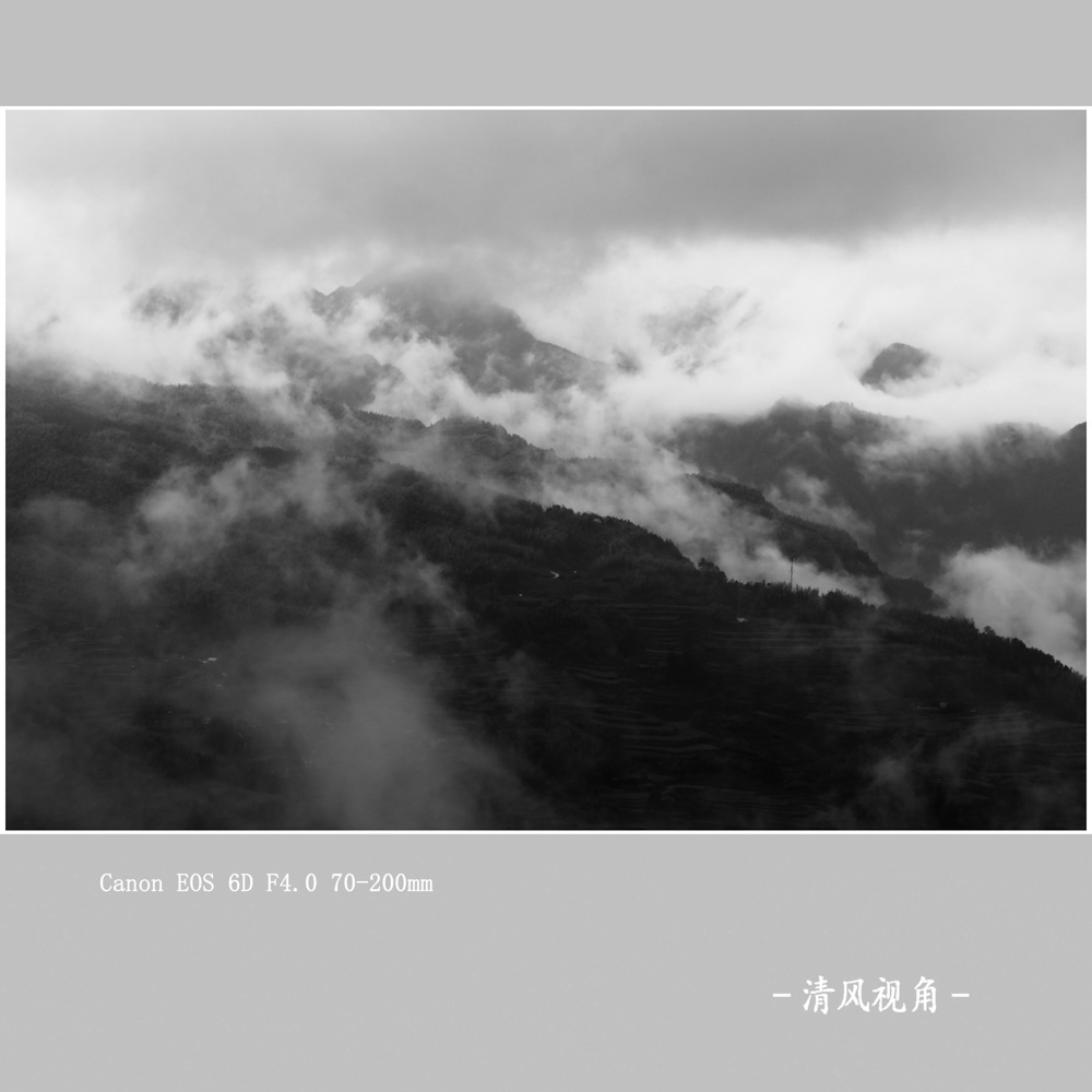 云雾山中_8995