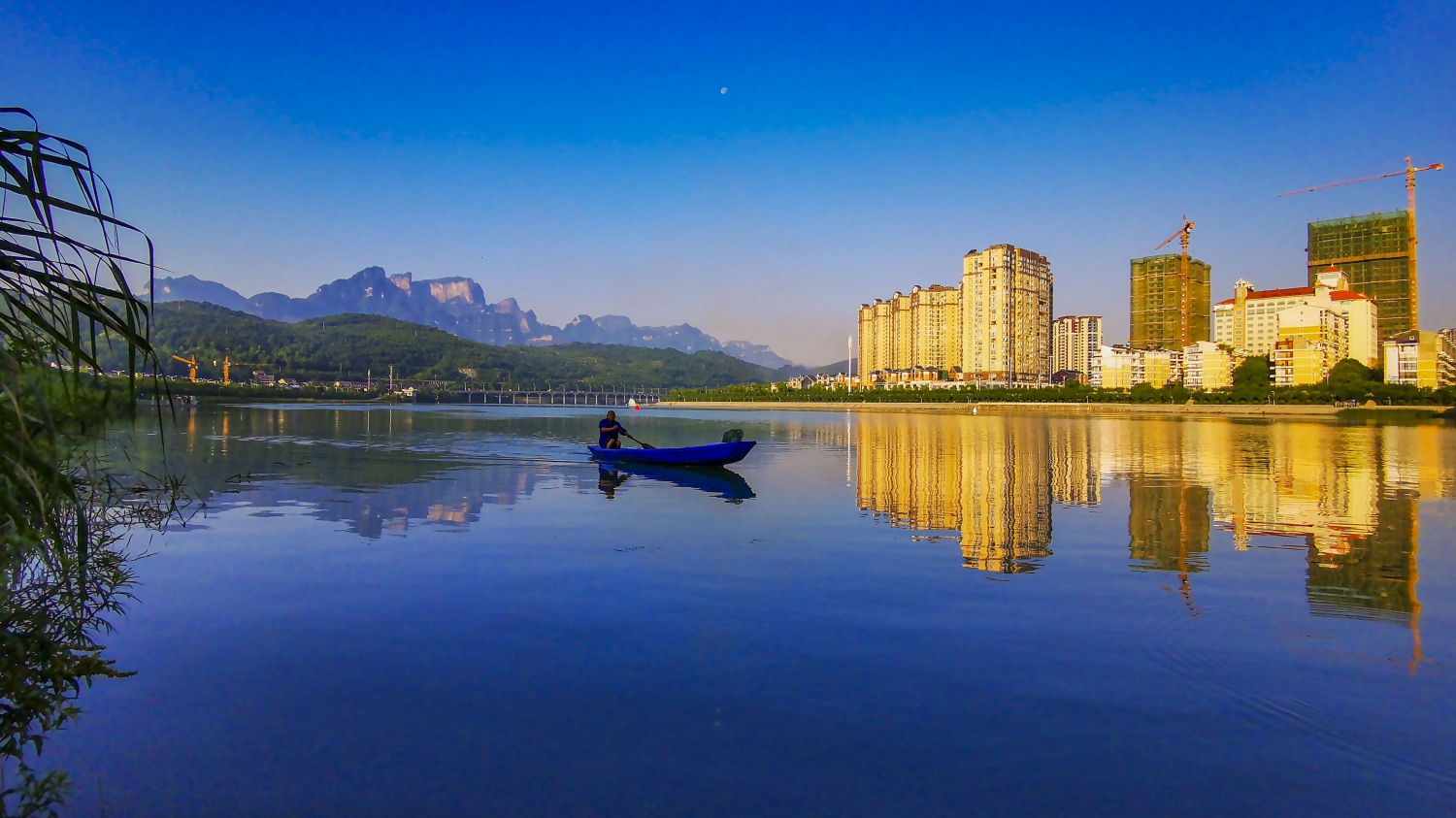 晨光小景(手机照）