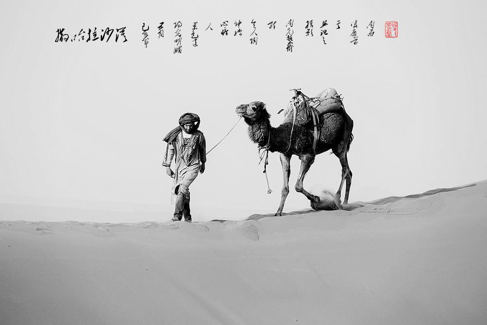 撒哈拉大沙漠