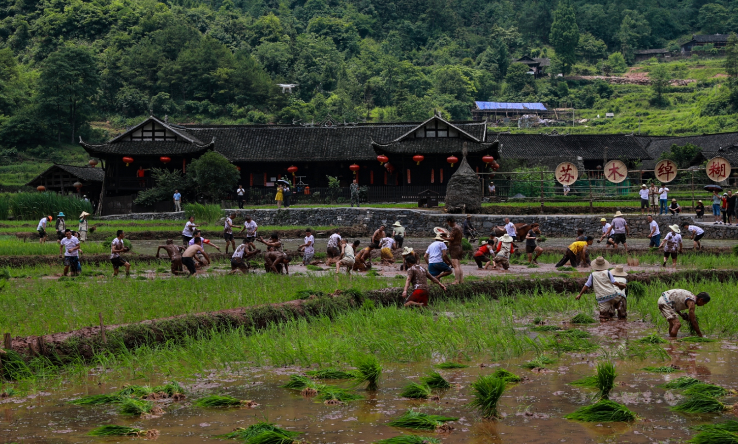 糊仓节