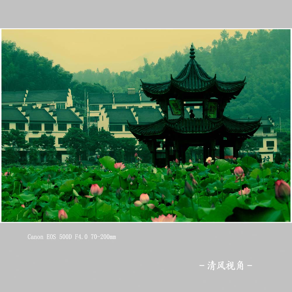 无题
