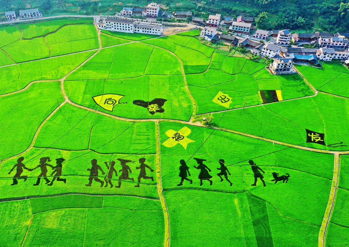 美丽家园