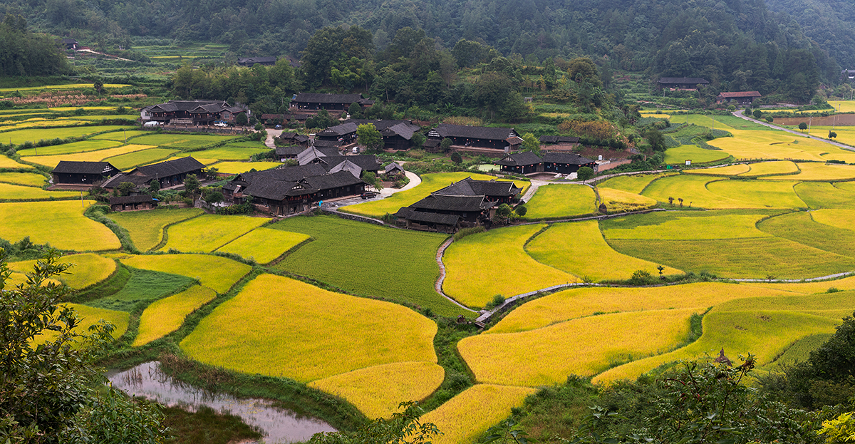 美丽田园