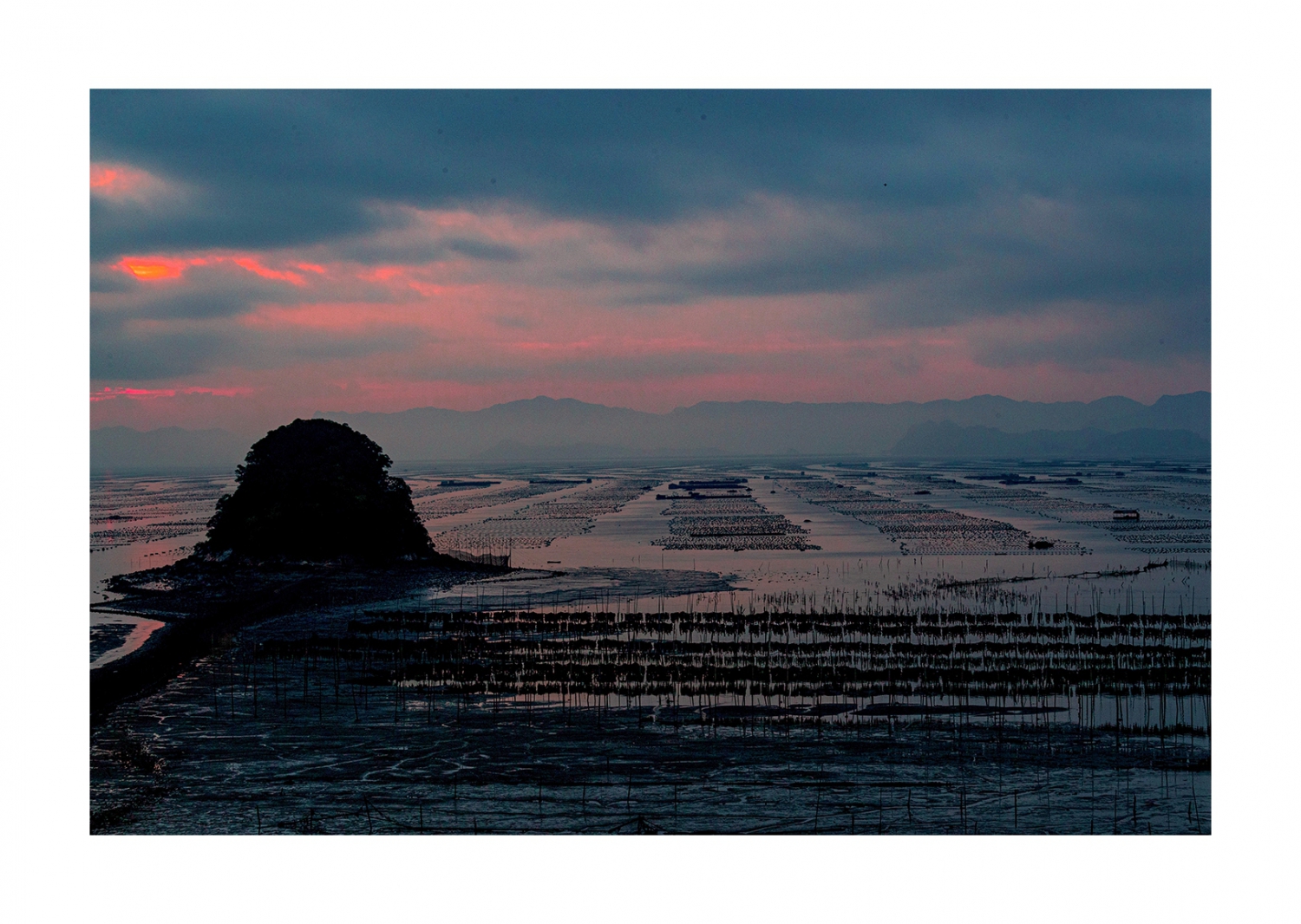 海带基地