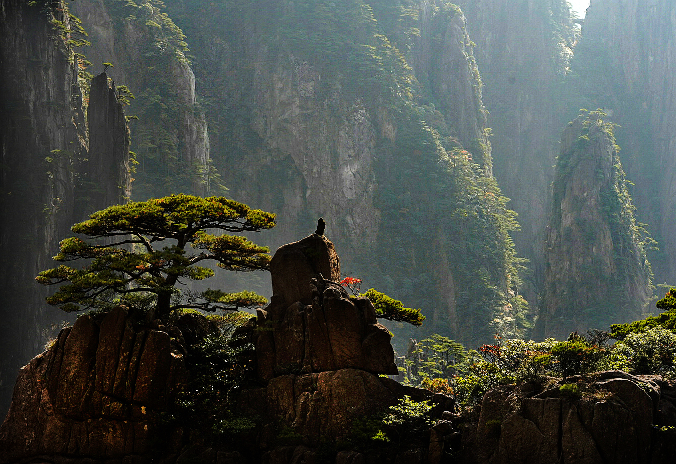 石与松