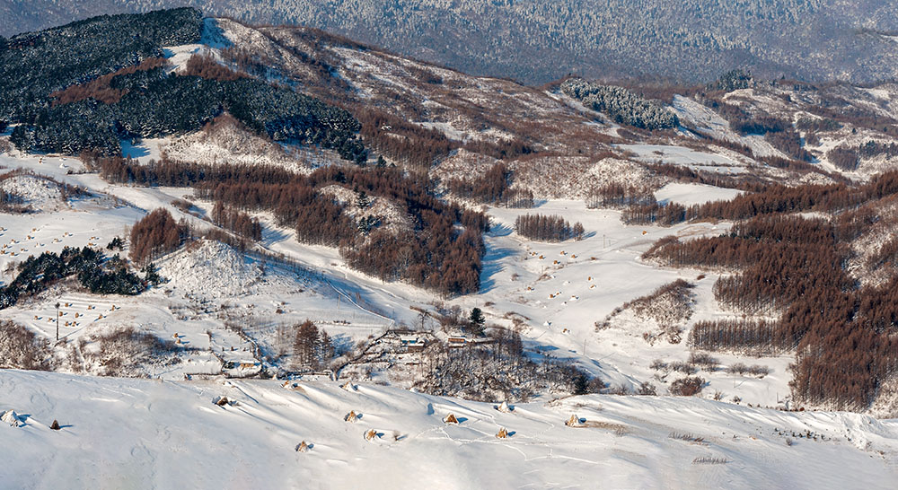 关东雪村-----魅力松岭