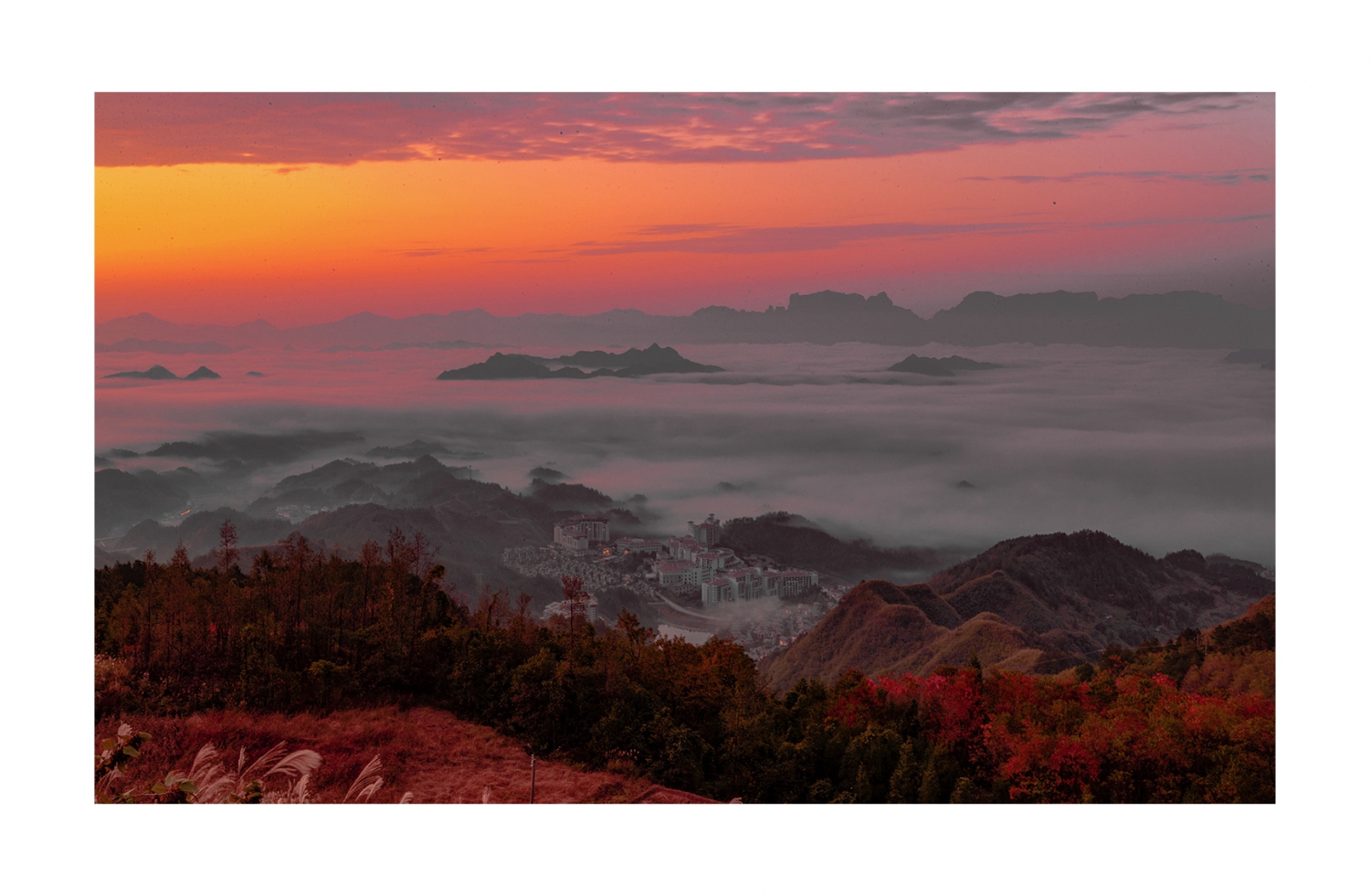 仙居—碧桂园