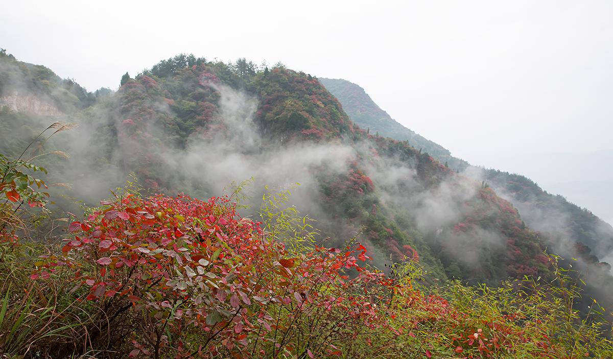 崇山2