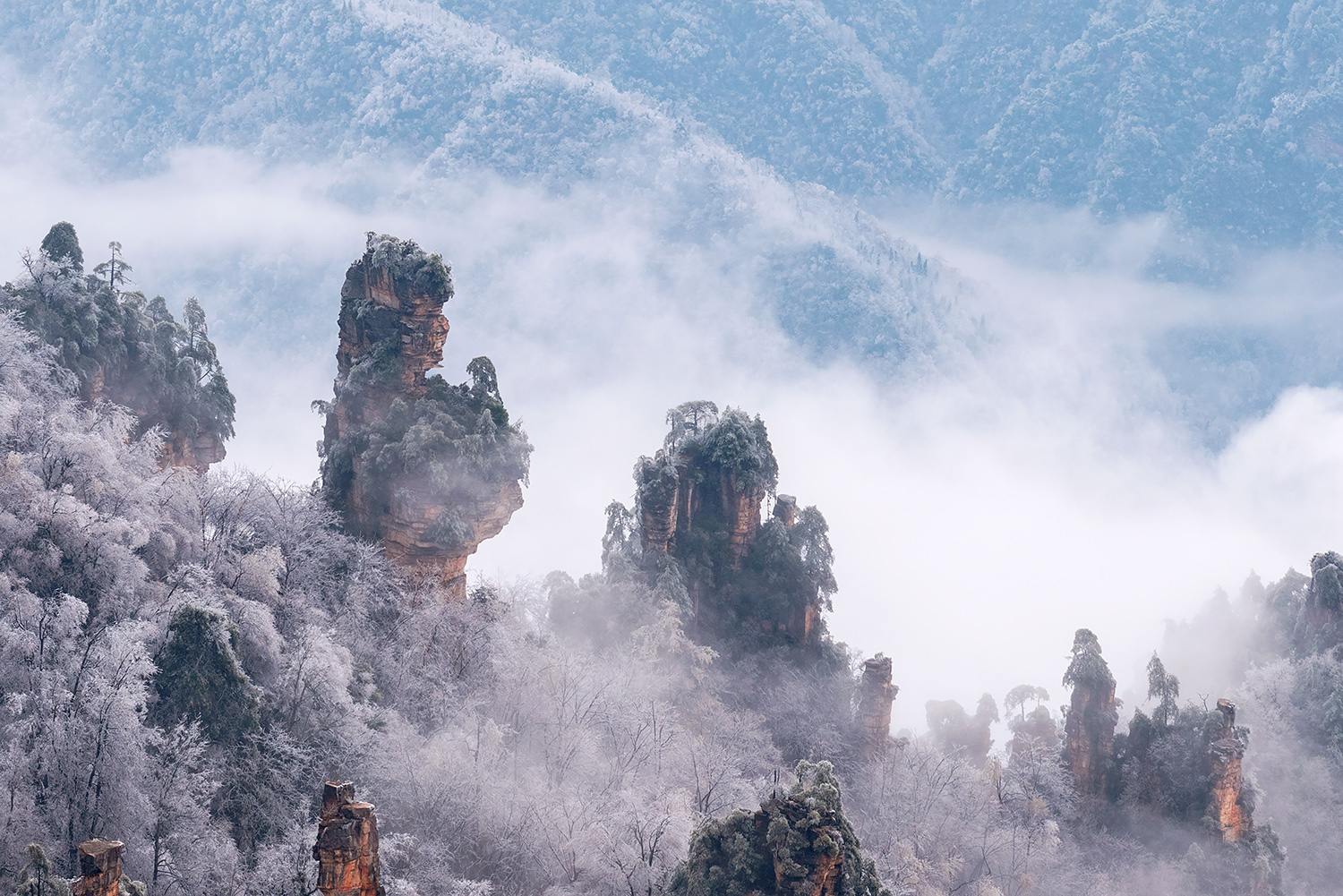 武陵绝景-仙女献花
