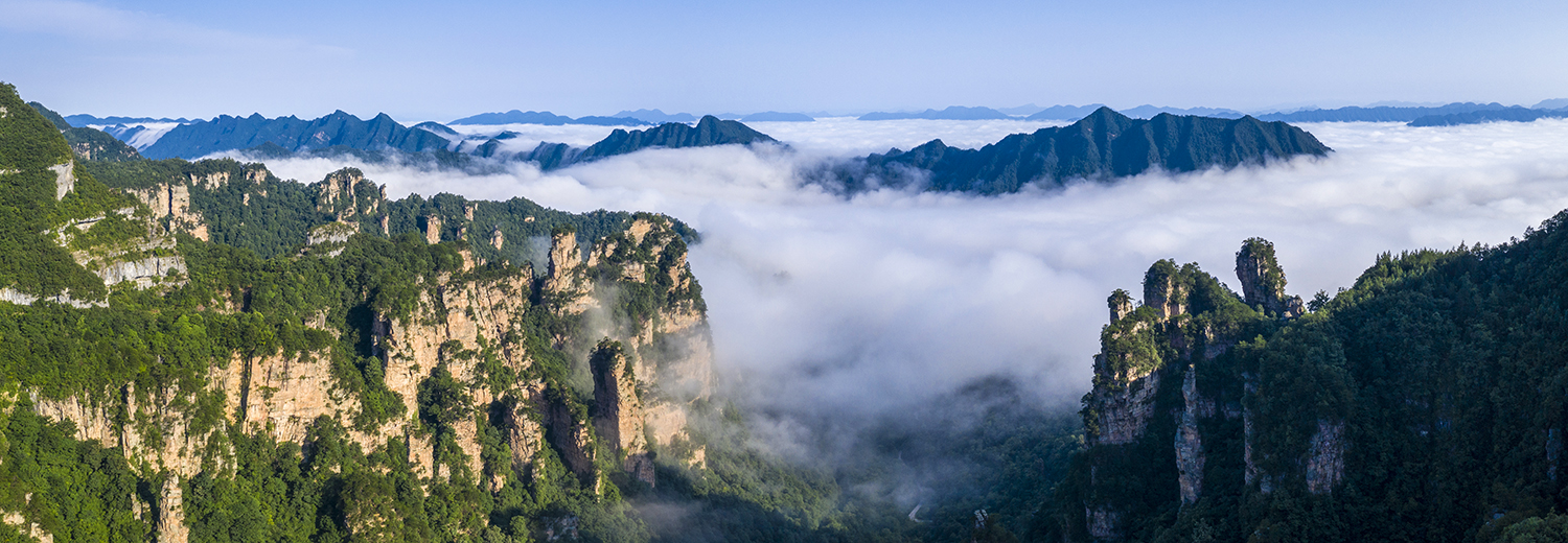 云雾缭绕的天子山
