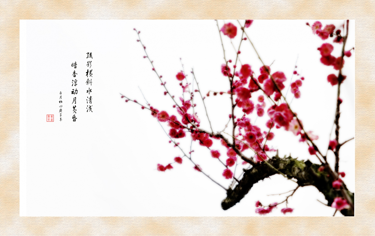 赏梅图