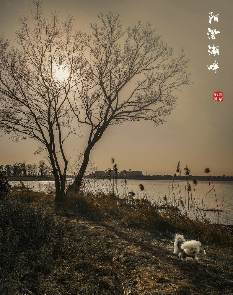 阳澄湖畔