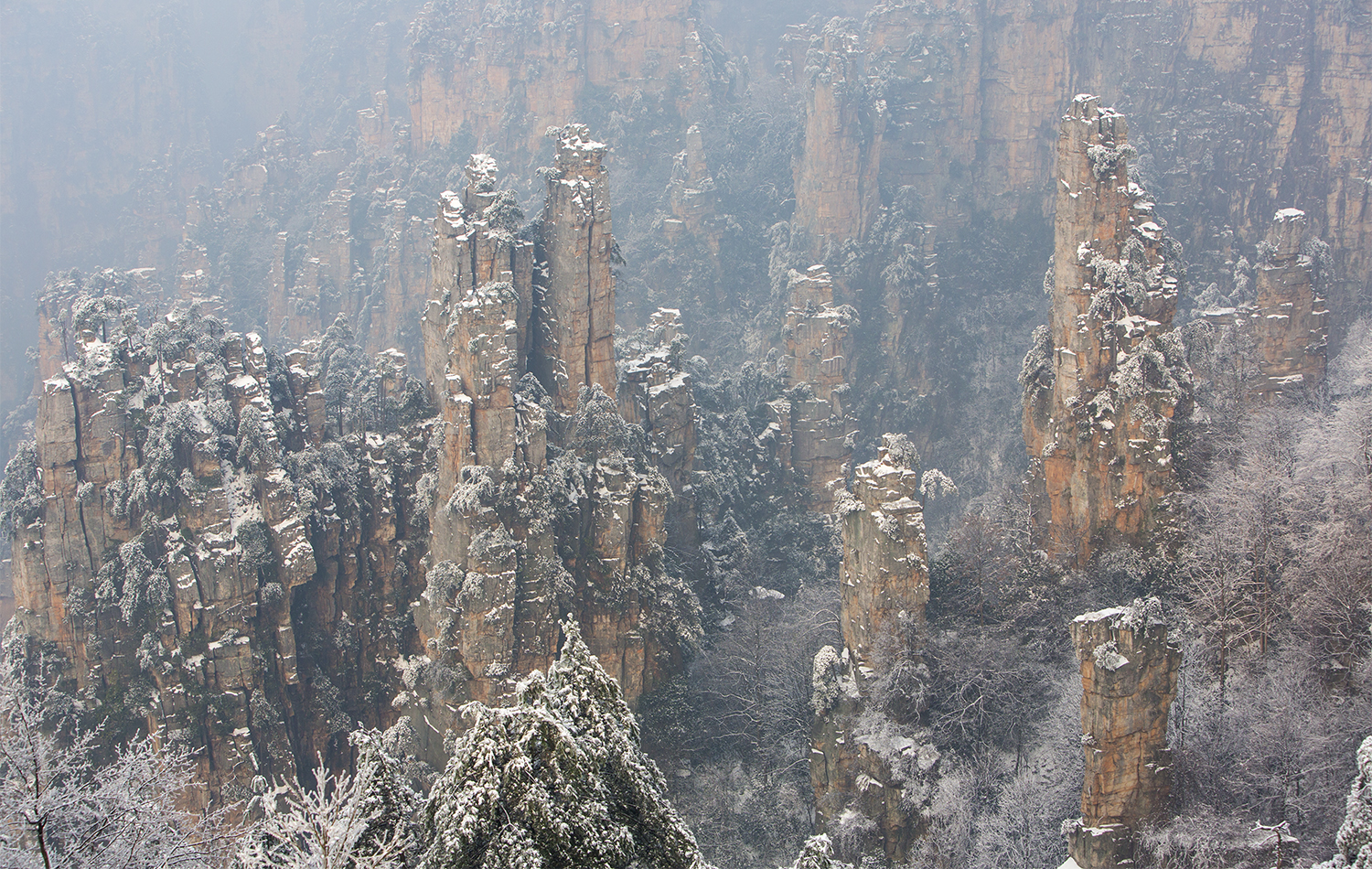 天子山雪景