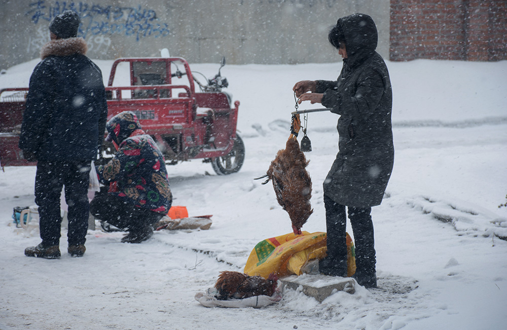 雪中路边掠影