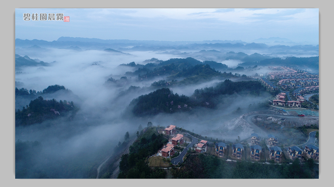 碧桂园晨雾