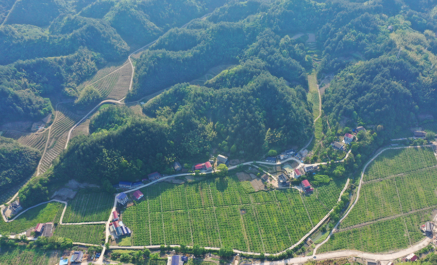 新桥老木峪基地