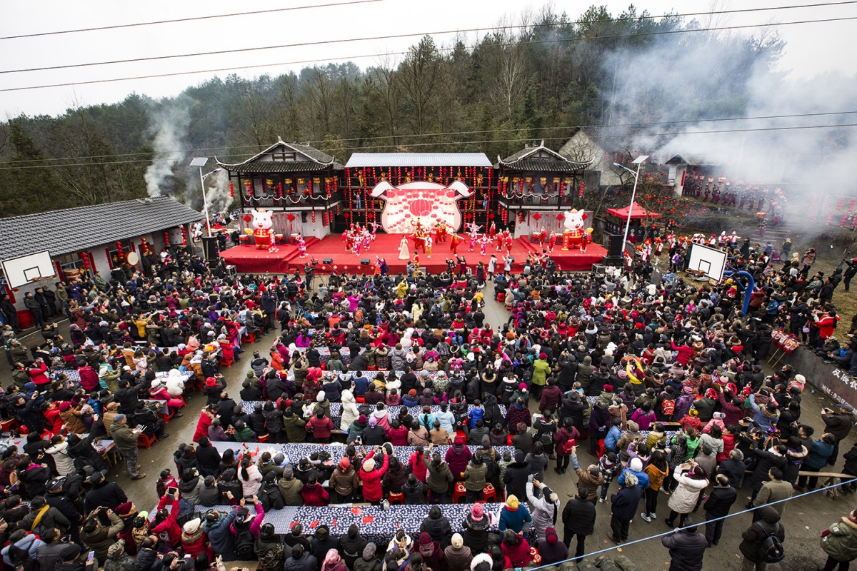《盛世欢庆年猪节》