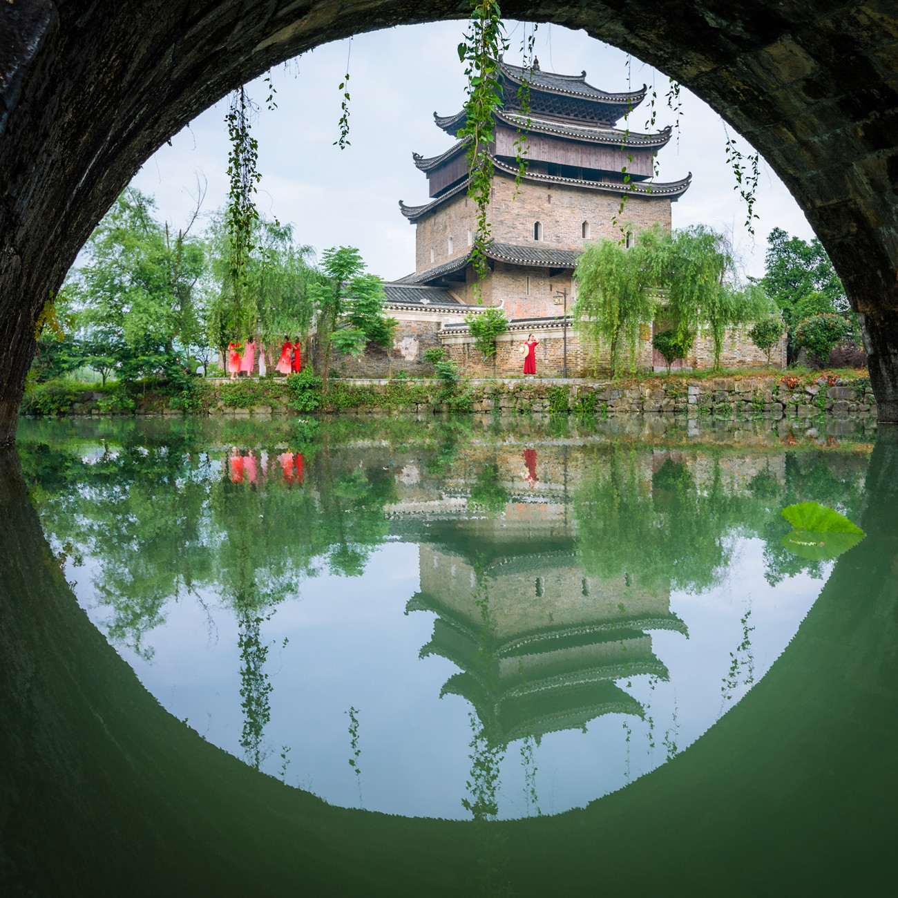 上甘棠印象