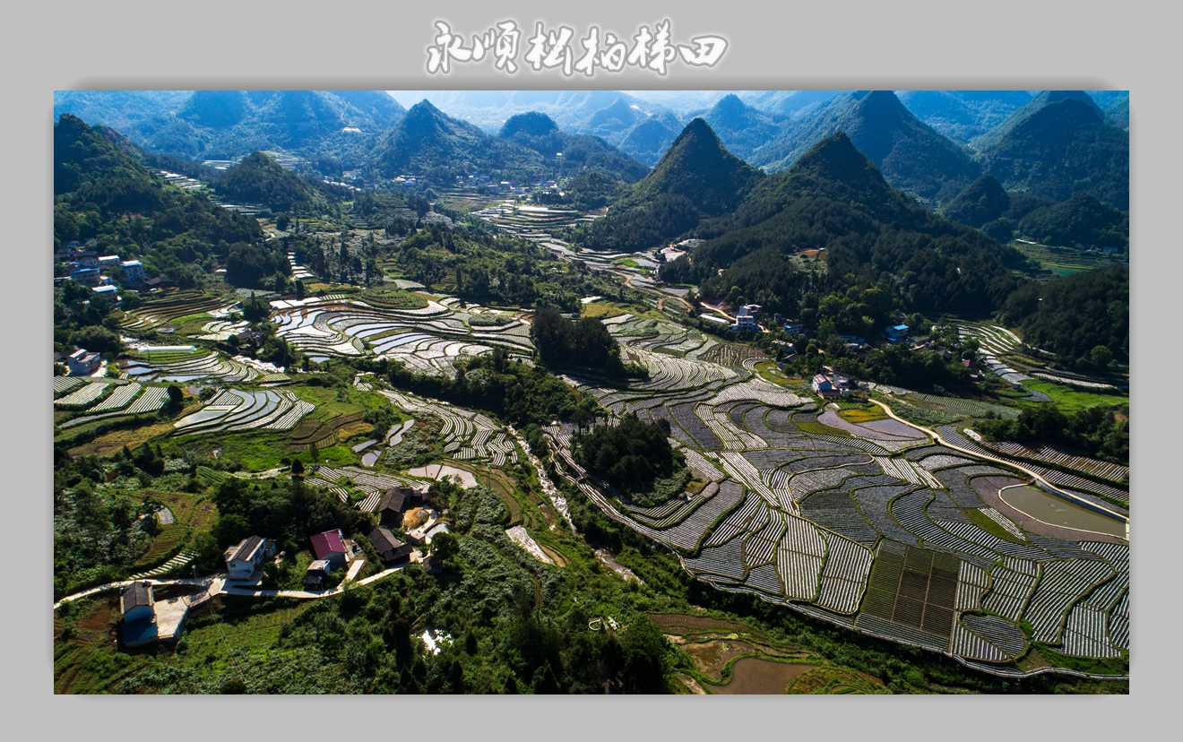永顺松柏梯田