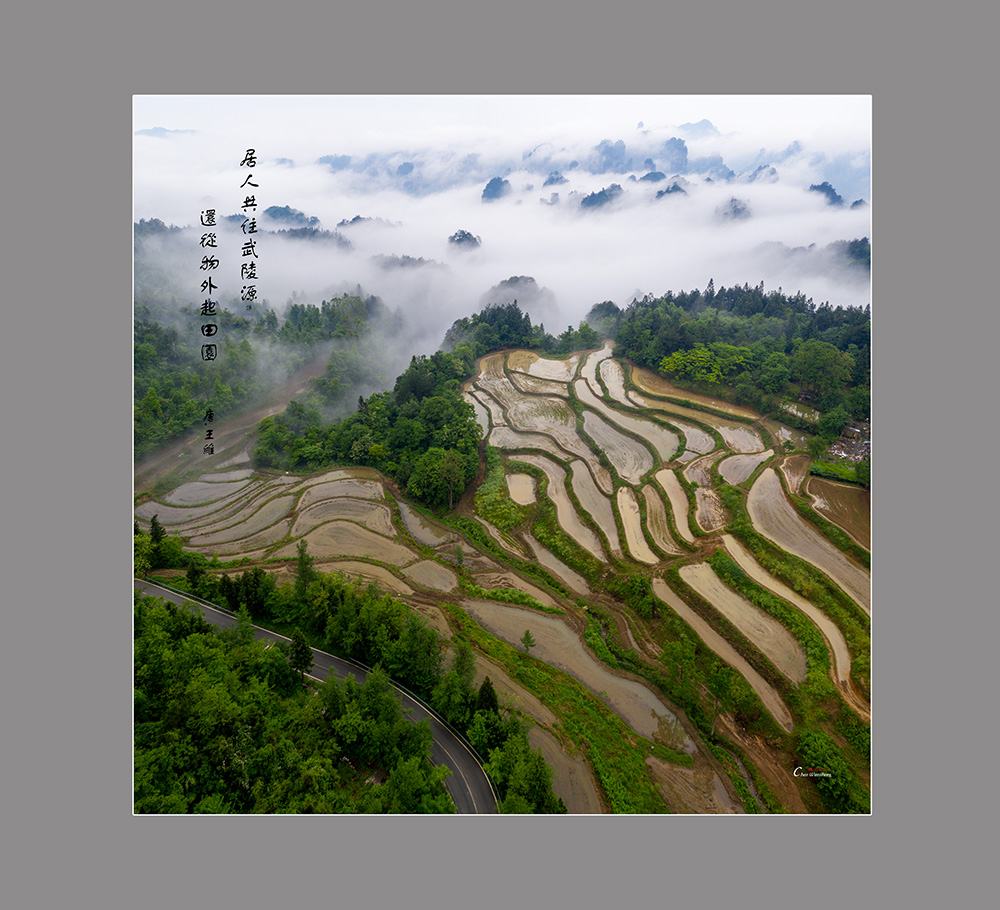 袁家界空中田园