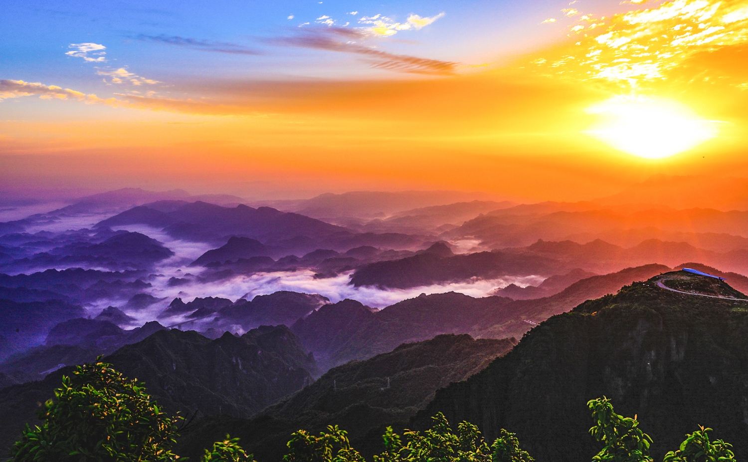 江山多娇