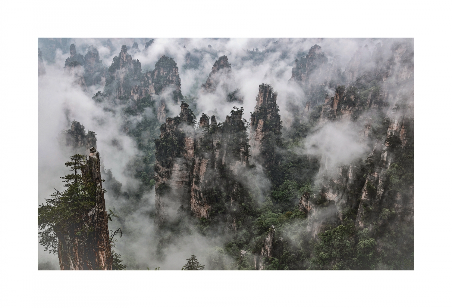 雾锁天子山