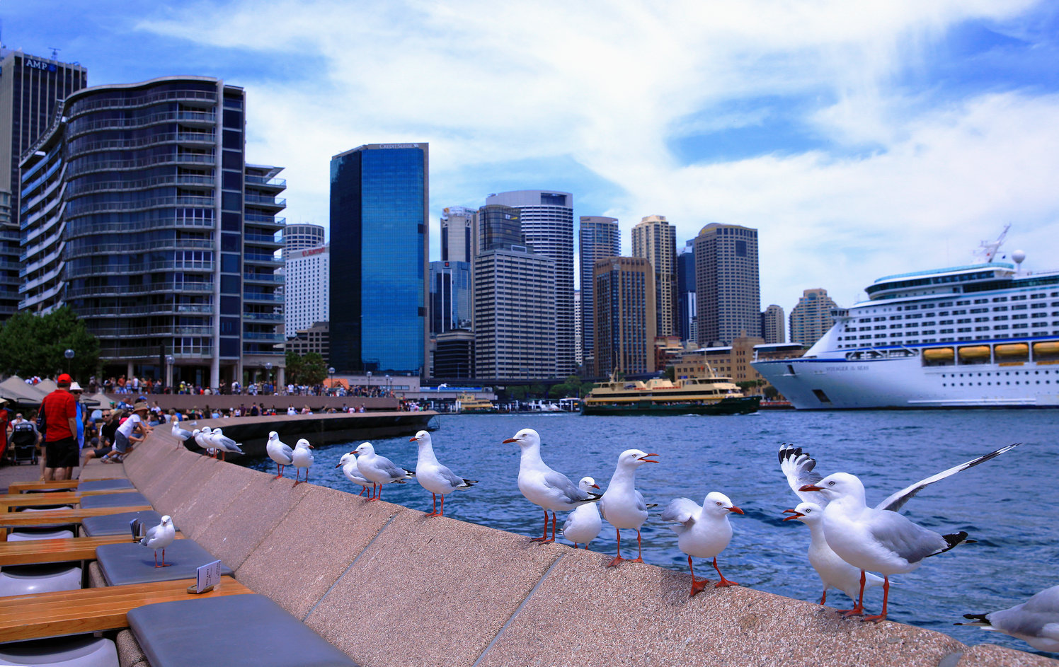 悉尼深水港
