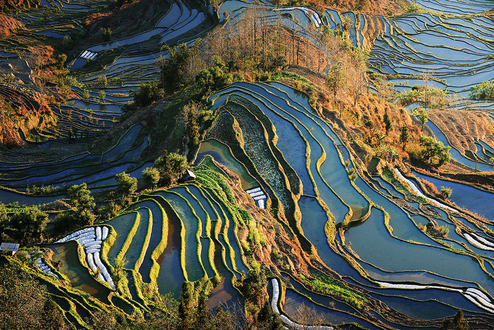 哈尼梯田