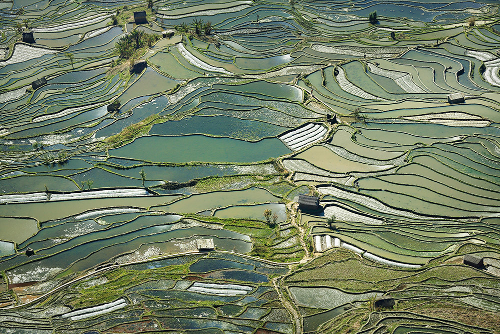 哈尼梯田
