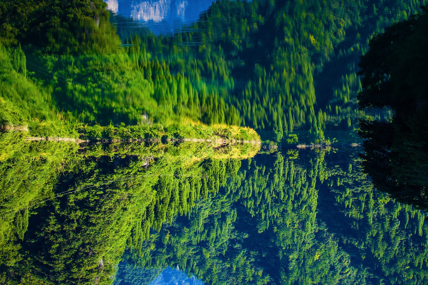 青山绿水
