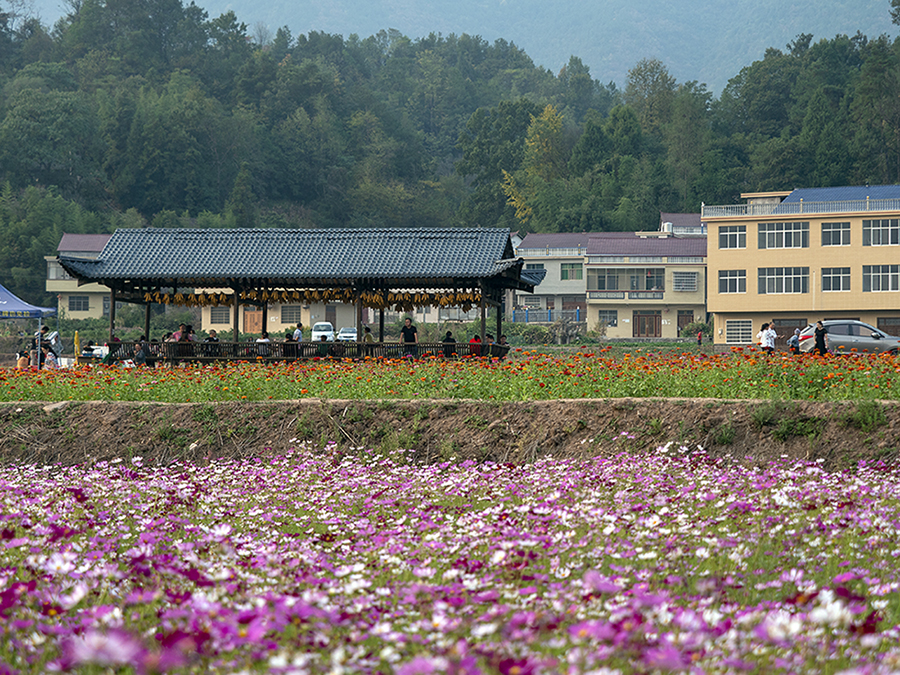 陈家坪农业生态园