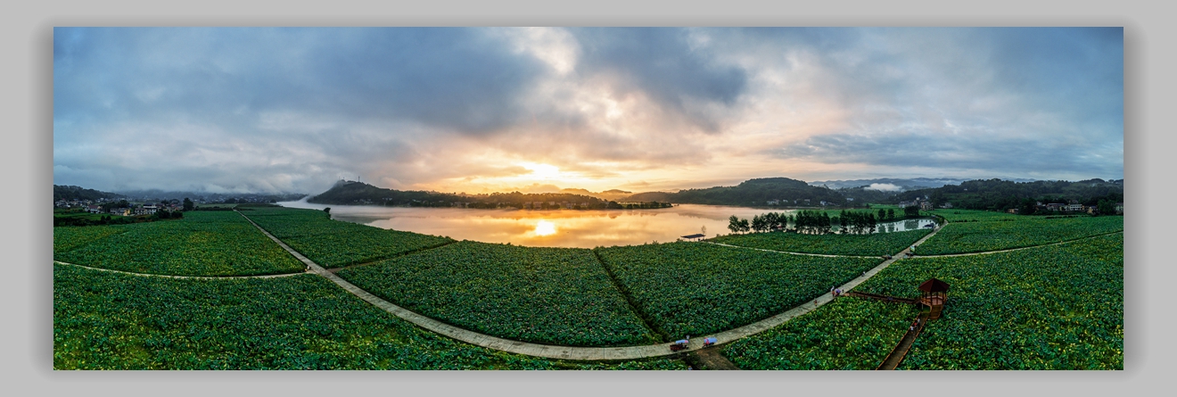 江垭千亩荷花园