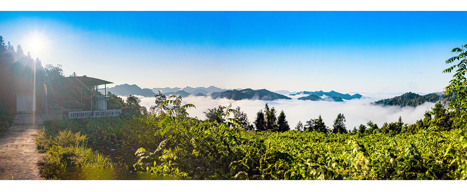 原始森林八大公山