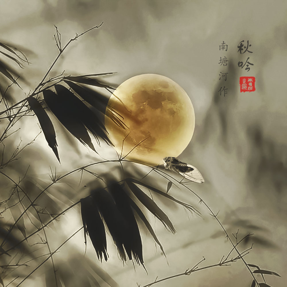 吟秋